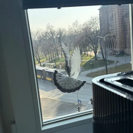 Victoriei Timişoara