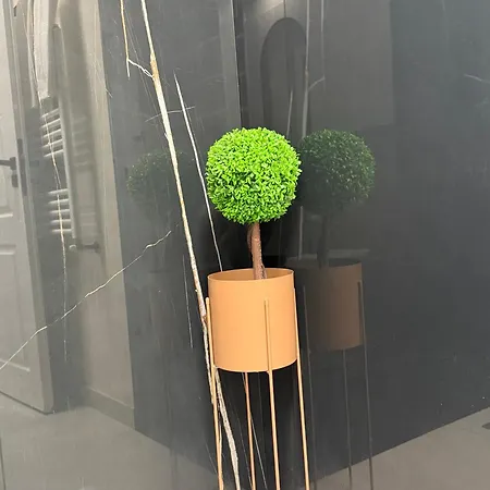Apartment Victoriei