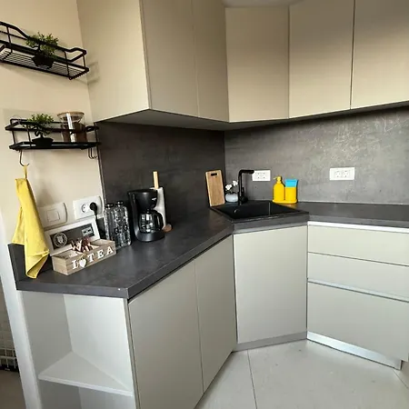 Apartment Victoriei