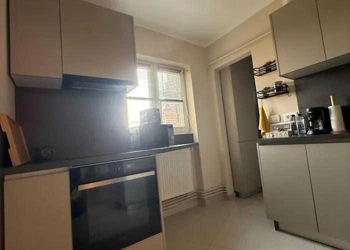 Victoriei * تيميشورا